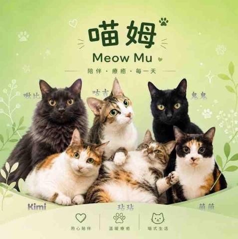 提供餵奶服務的專家劉夢蕾