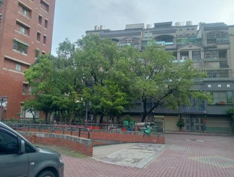 王東明 - 長榮路社區樹木修剪前圖一