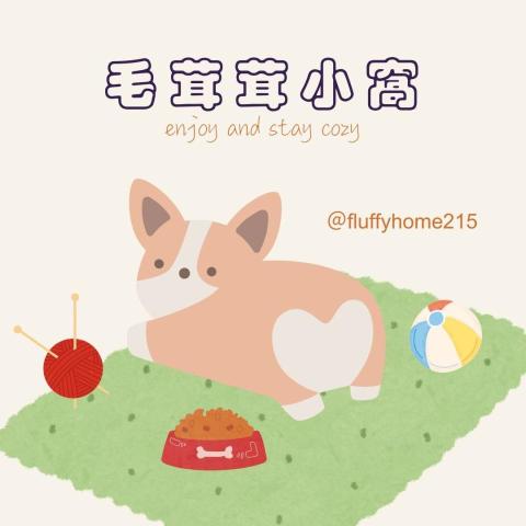 提供台中寵物住宿服務的專家李昀軒