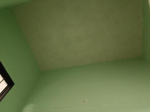 王政遠 - 廁所天花板牆面改造後