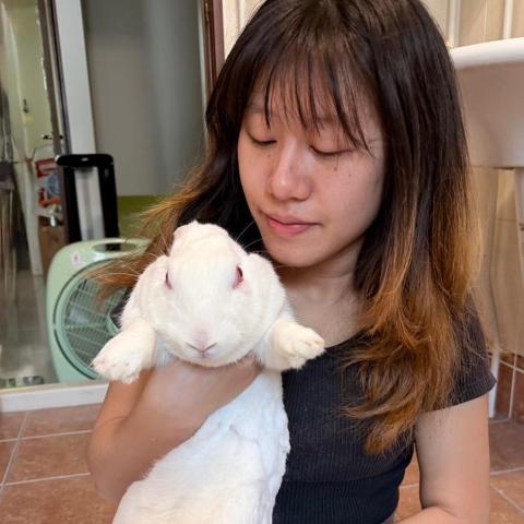 提供餵服務的專家雙北寵物到府照顧