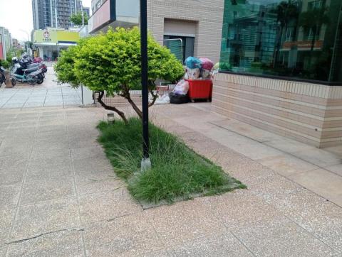 王東明 - 北區社區除草前圖一
