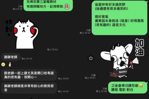 美琪寵物保姆(到府居家殘貓照顧)-正宗粵語教學 - 