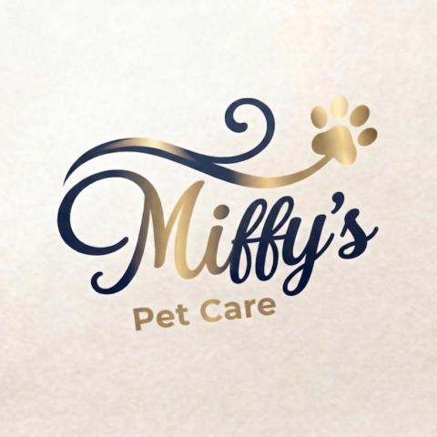 竹東寵物保姆推薦MiffyPetCare｜到府貓咪保母｜竹東・新竹