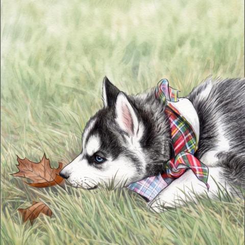 LOVEDOG