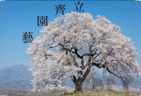 提供除草機刀片服務的專家立齊園藝工作室
