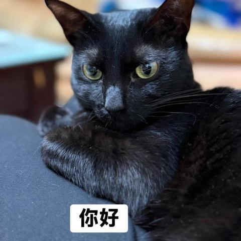 提供bsmi代辦服務的專家小魚