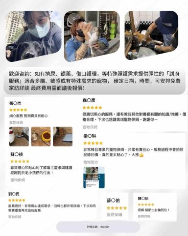 美琪寵物保姆(到府居家殘貓照顧)-正宗粵語教學 - 