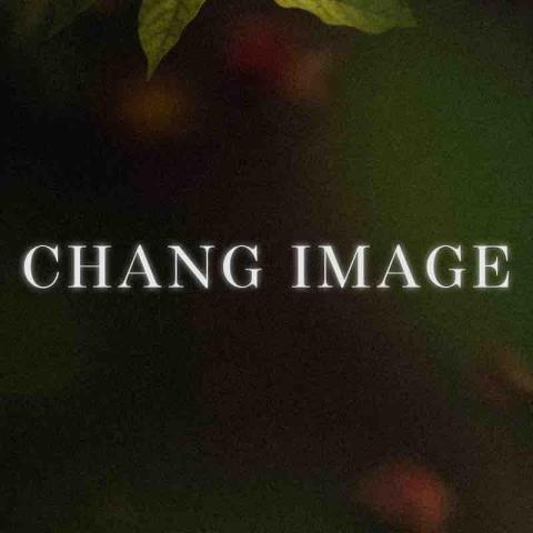 提供人像照服務的專家誠影像 Chang Image