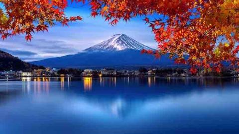 居家清潔