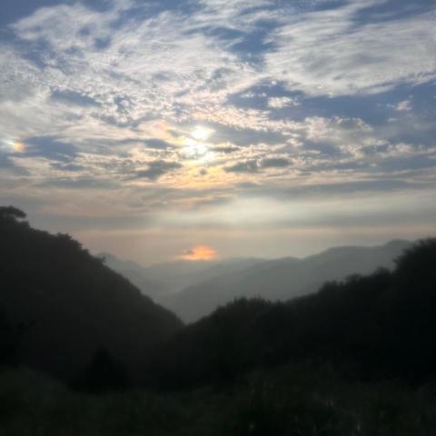 朱小姐