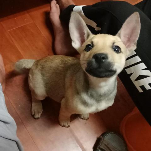 提供金工服務的專家鍾雅蘭