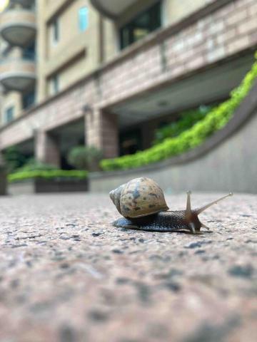 平鎮芳療講師推薦桓爺按按