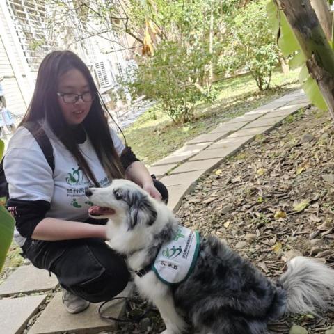 提供幼犬定點大小便服務的專家李心妤