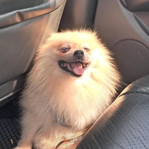 李家鎧