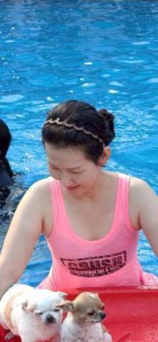 提供住宿服務的專家🏡🐶把毛孩交給糖糖媽安心去旅行/24小時家庭照護