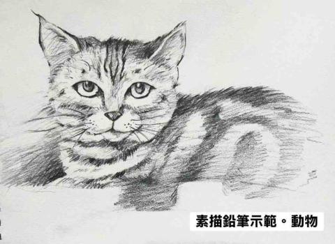 陶藝課程老師推薦專業藝術｜書法興趣｜兒童美術