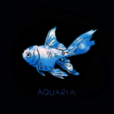 提供動漫avbb服務的專家張訓平