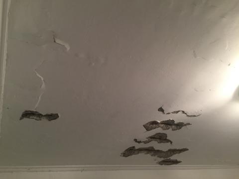 向森創意設計 - 壁癌處理