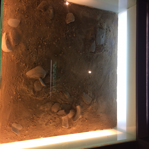 提供搬遷服務的專家          