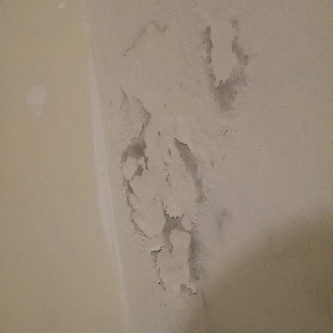 個人工作室 - 此實際作品供參考
向未施作前０４