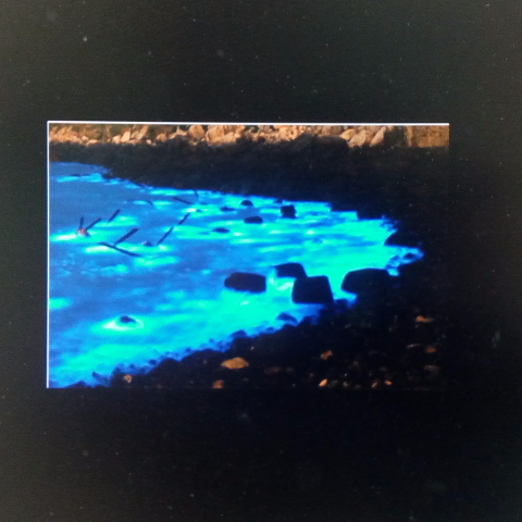 提供兼職所得服務的專家益睿Amy