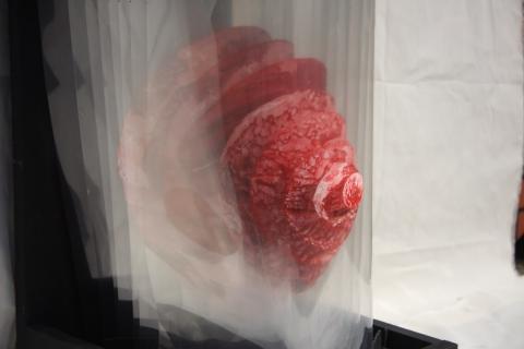 Lin,Jin-Zhong個人藝術工作室 - 