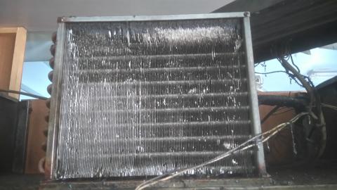 李昶輝 - 冷凍櫃散熱排藥劑清洗