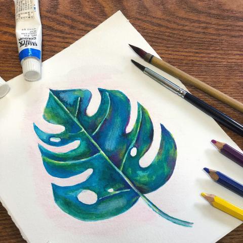 楊凱強Noel Yang - 