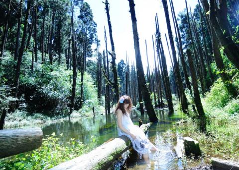 Katoh攝影工作室(婚攝/商攝) - 風景攝影作品