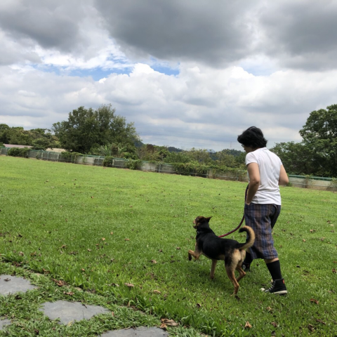 提供訓練狗服務的專家張嘉文