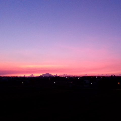 提供除草機服務的專家陳建達