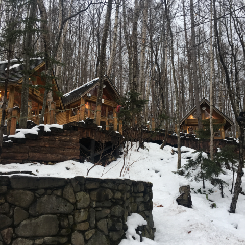 提供unity教程服務的專家Tim