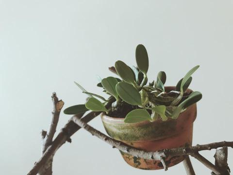 張雅閔 - 商品攝影