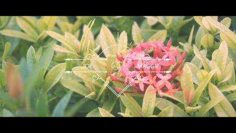 橘貓影像工作室 - 