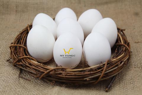 蒝帟綻有限公司 - 紅心蛋商品照