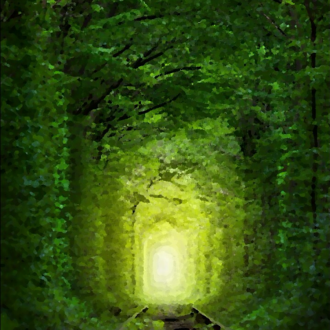 提供oppoa系列服務的專家張建興