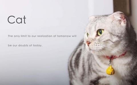 Joseph Studio - 棚拍攝影