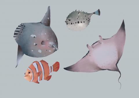 吳銘恩 - 魚&mdash;案件委託