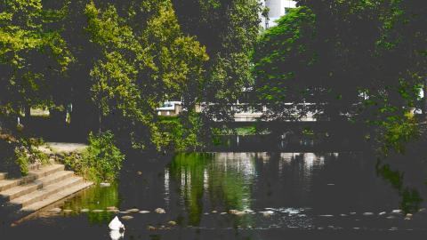 洪玫琪 - 攝影作品