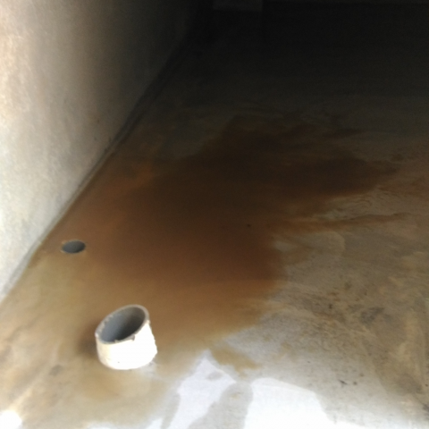 女人家清潔社 - 洗水塔