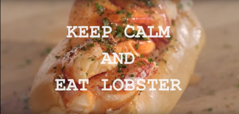 Yen Studio - 「Captain Lobster 」網路廣告片段