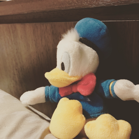 提供wixsite賺錢服務的專家Crystal design