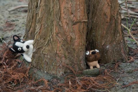 荒島有鹿影像工作室 - 羊毛氈情境照-3