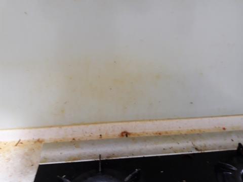 王婉如 - 清潔前