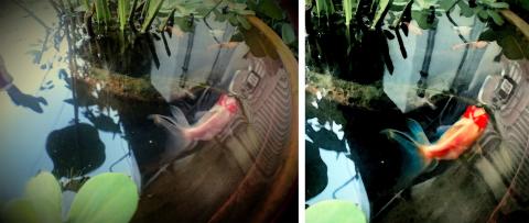 Peggy - 照片拍攝、影像後製