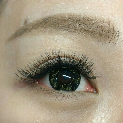 魔力美學 - 山茶花500根
性感型