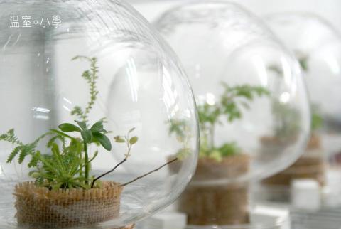 品牌的造型師，行銷的支力點。 - 溫室小學 植物療癒產品開發