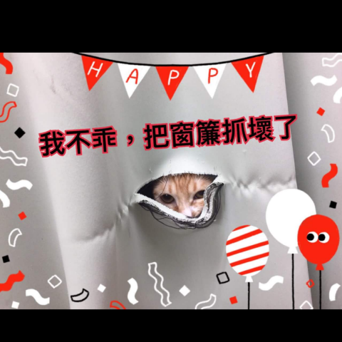 三立窗簾、壁紙 。 - 提供壁紙施工的專家 三立窗簾、壁紙 。 - 提供壁紙施工的專家