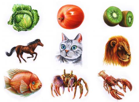 林子鈞 - 手繪作品